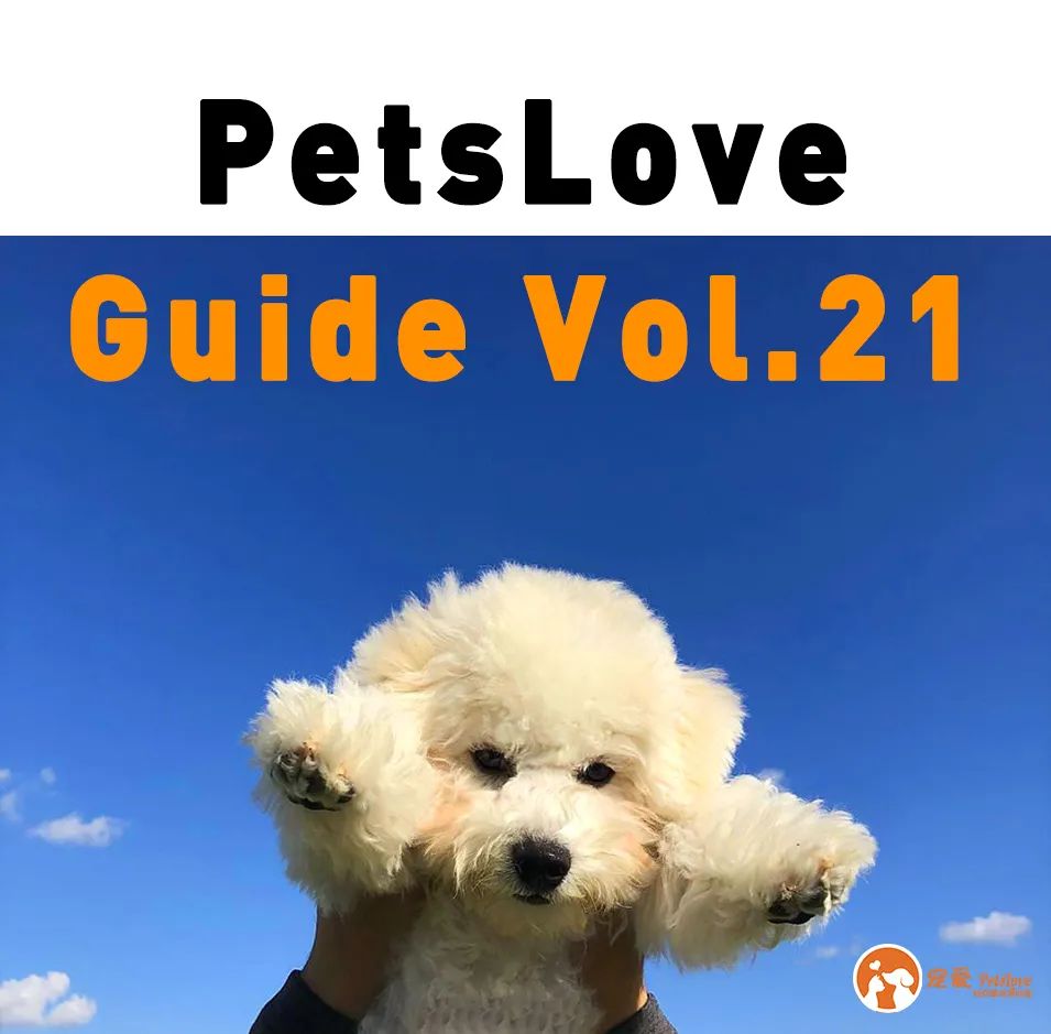 犬瘟狗口吐白沫,狗狗犬瘟初期抽搐视频