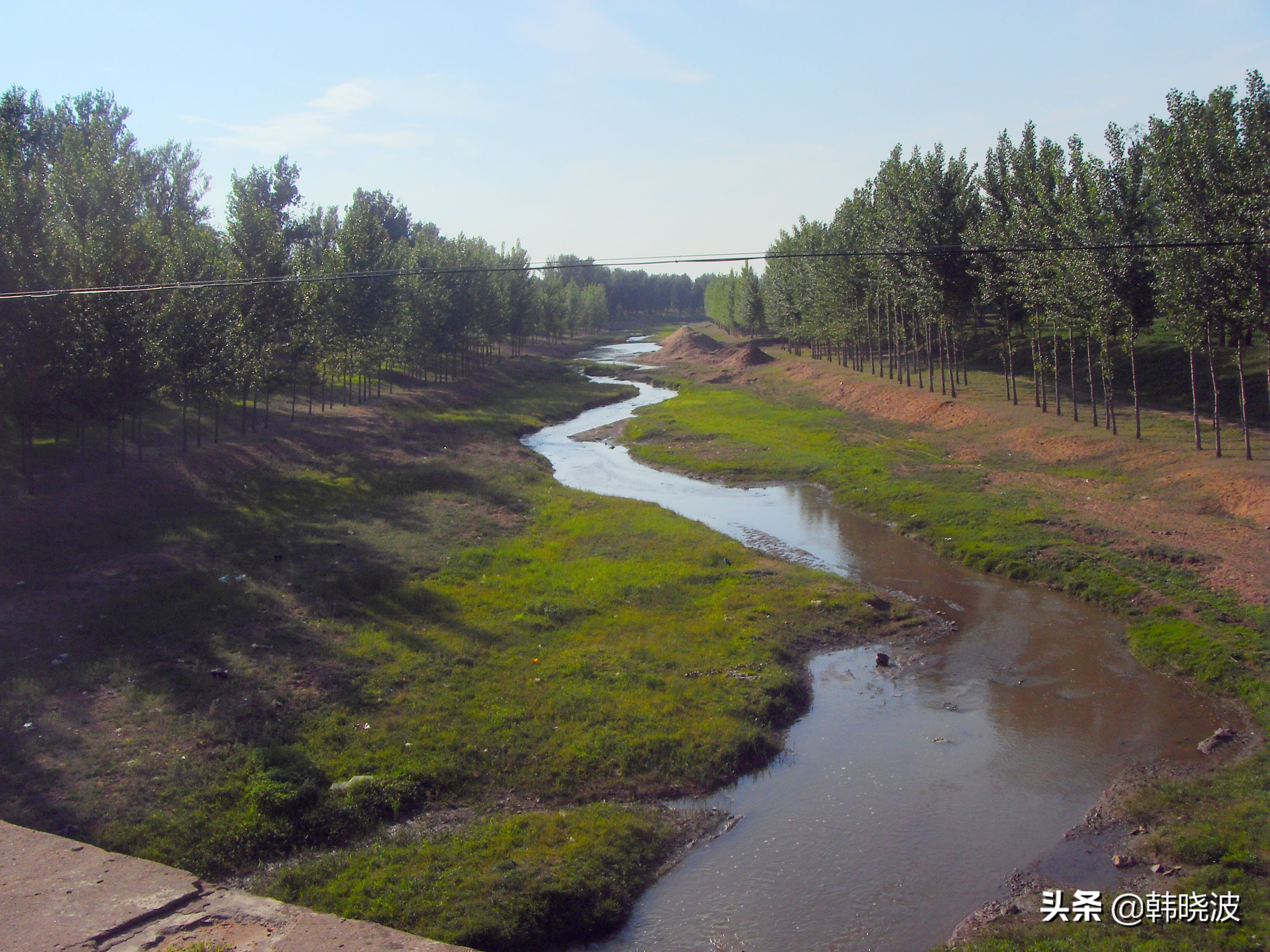 我班的同学们,小学生我的同学