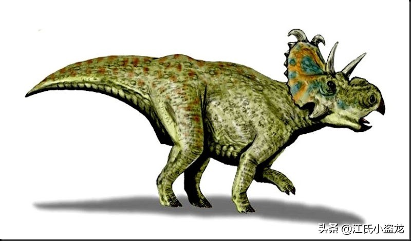 长得跟其他恐龙不一样的恐龙,盘点恐龙界最奇葩的恐龙