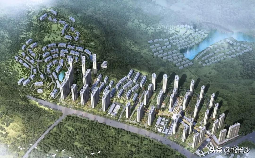 师大附中房子出售,师大附中附近的房子值得买吗