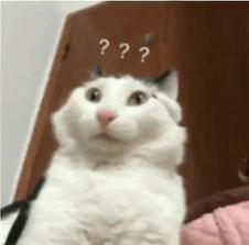 不花一分钱玩电脑游戏,不花一分钱也能玩游戏