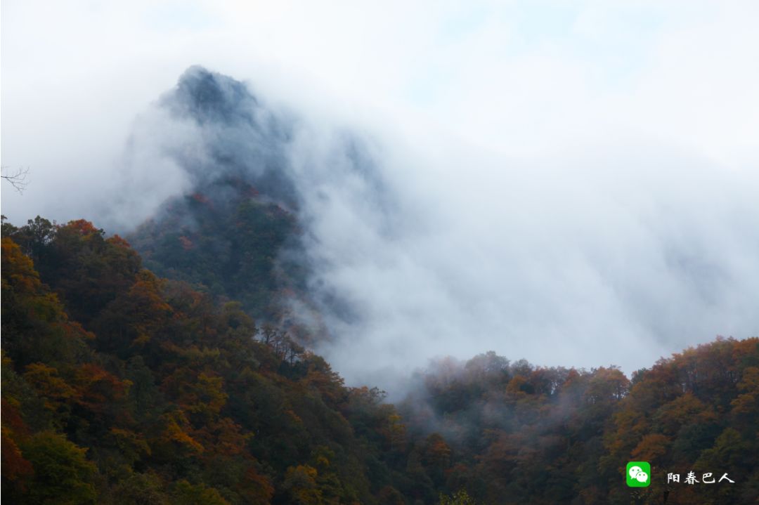 光雾山摄影,一位摄影师镜头下的中国