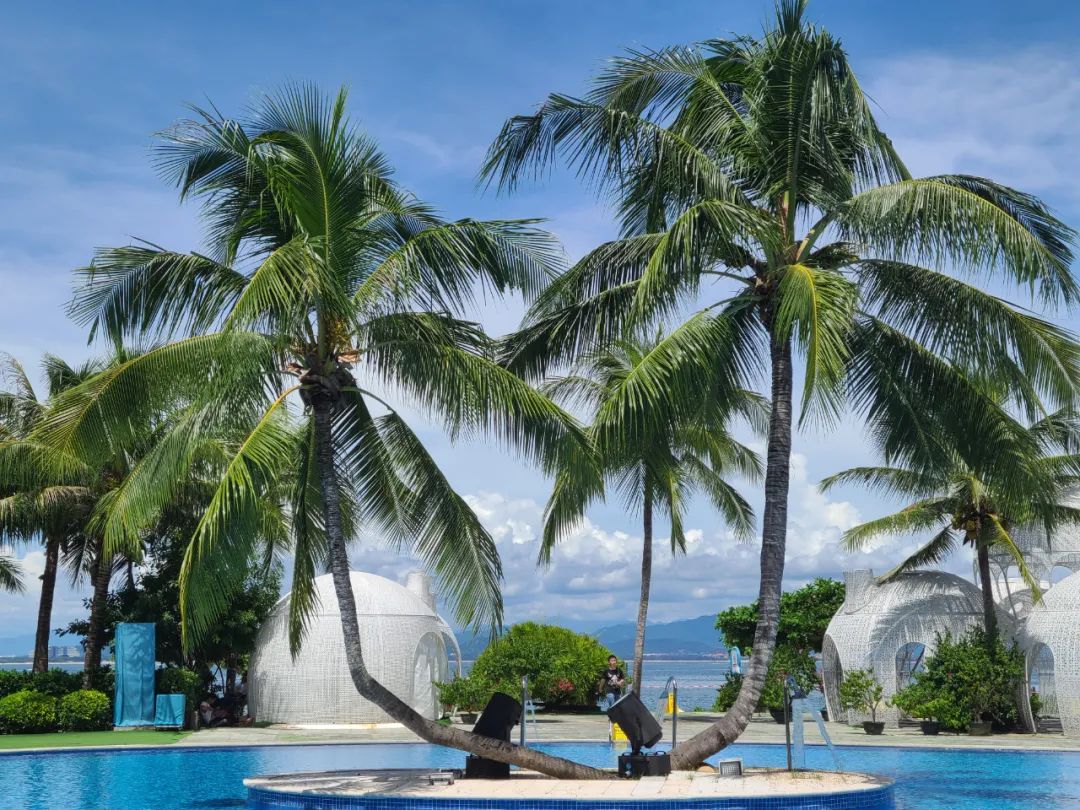 海南之行记录全集,海南之行的记录