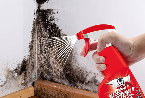 墙壁发霉除霉剂,卧室墙壁发霉严重除霉剂怎样使用