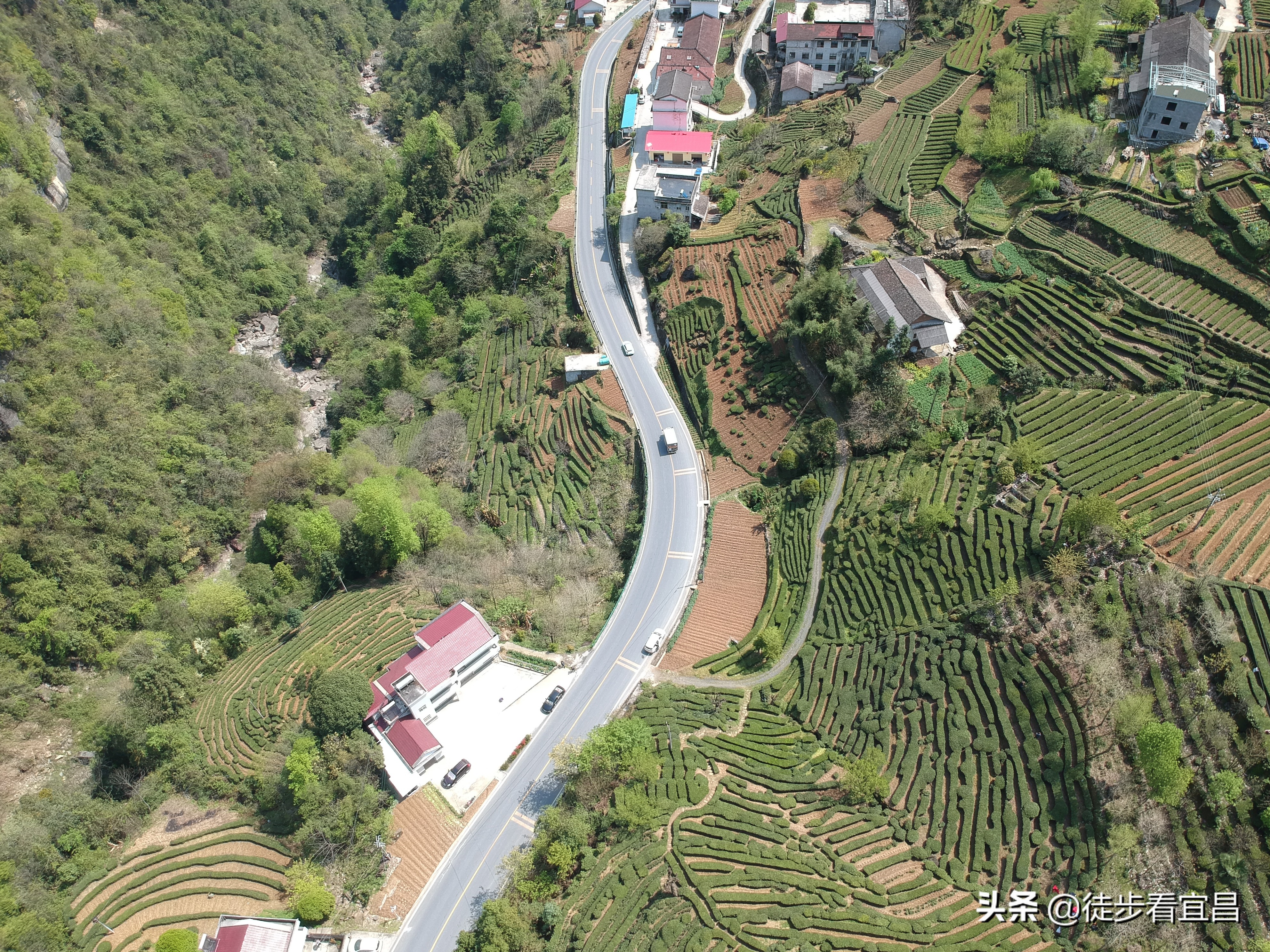宜昌五峰茶乡全景,宜昌五峰国际旅游茶乡