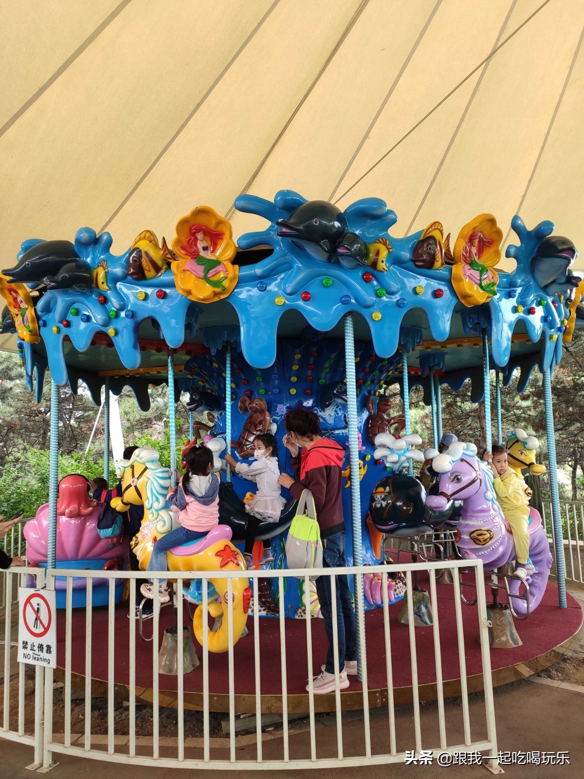 沈阳热高乐园丛林欢乐世界,沈阳丛林欢乐世界