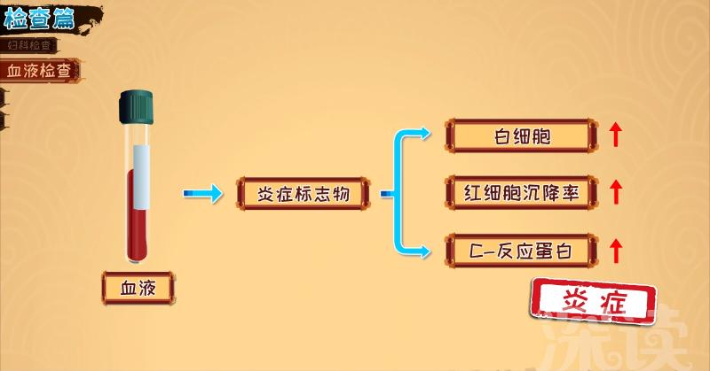 子宫内膜炎要治多久?治疗期间能啪吗?该注意啥?硬核科普