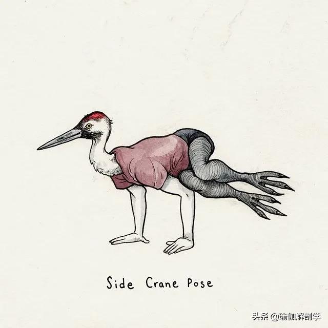 100张户外瑜伽唯美图片,各种动物瑜伽姿势图片