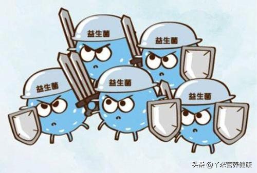 女性健康私护用药益生菌,女士益生菌守护女士肠道健康