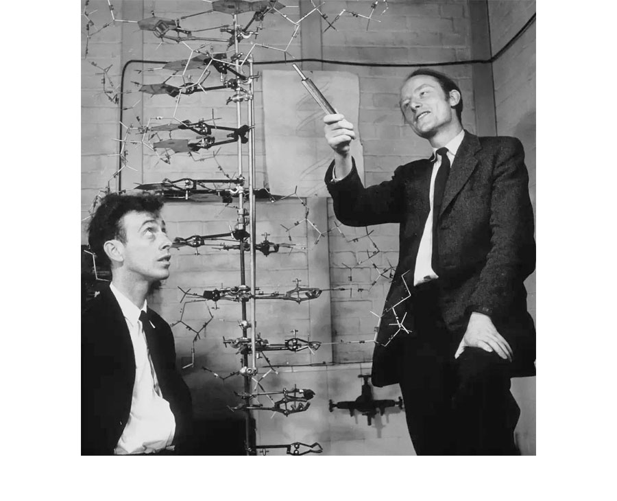 如果基因被破解会有什么后果,人类基因被破解的危害