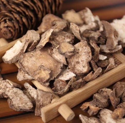 最近竹林发现的野草,竹林里常见的野草