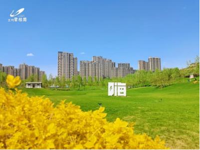 揭秘！北拓佼佼者如何进阶主城区