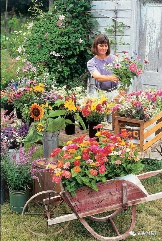 鲜花行业受到电商冲击吗,线上花店的5种盈利模式