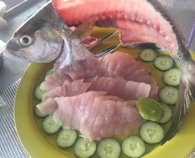 玩转沙巴海钓攻略,沙巴近海海钓