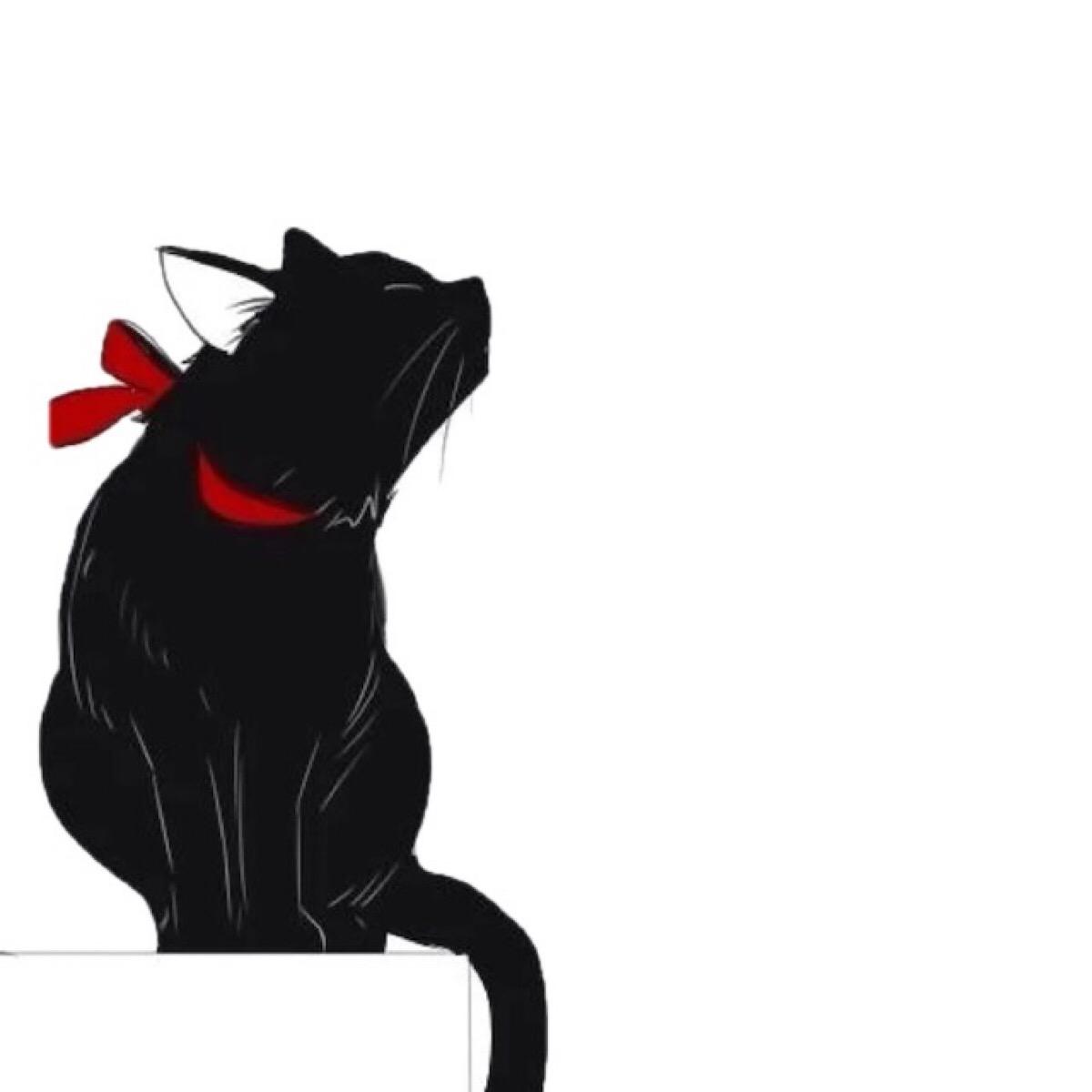 40岁求职还有人要吗,40岁还在求职