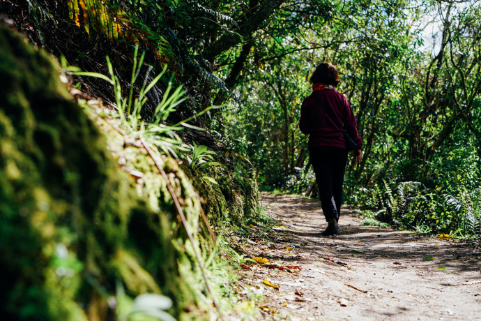 新西兰｜在首屈一指的滑雪胜地，与黑天鹅一起戏水