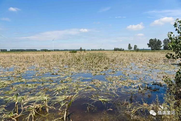 驰援河南抗洪救灾捐款,漯河市星火志愿者协会