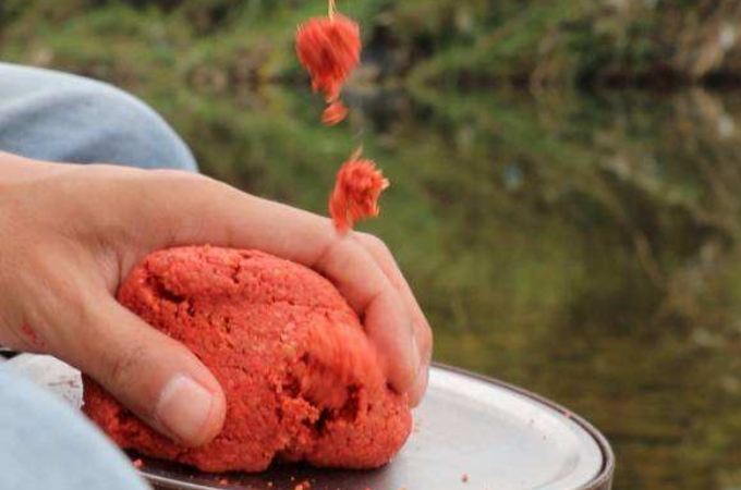 高温天白鲫钓底还是钓浮,高温天钓什么鱼好