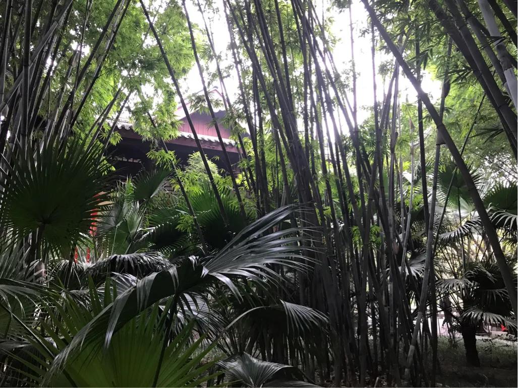 成都望江楼公园简介,成都望江楼公园要门票吗