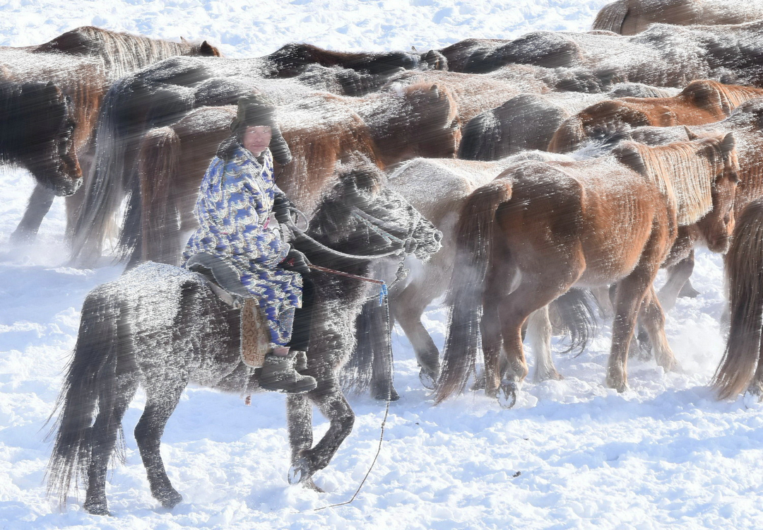 拍马都追不上的成语,拍马都赶不上的成语
