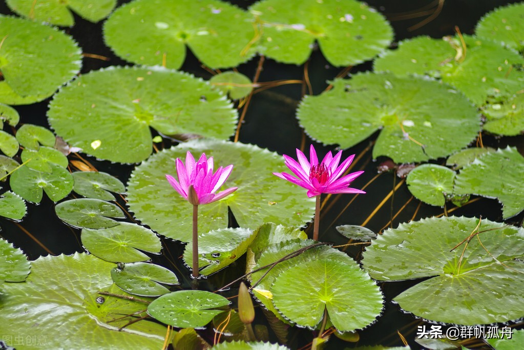 司空见惯的佛号阿弥陀佛，在贵池方言俚语里有多重生动有趣涵义