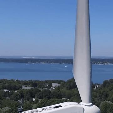 30张活久见的巨物照片,23张令人窒息的照片太像了