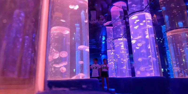 深圳十大暑假室内必去景点,深圳暑假值得带孩子旅游的地方