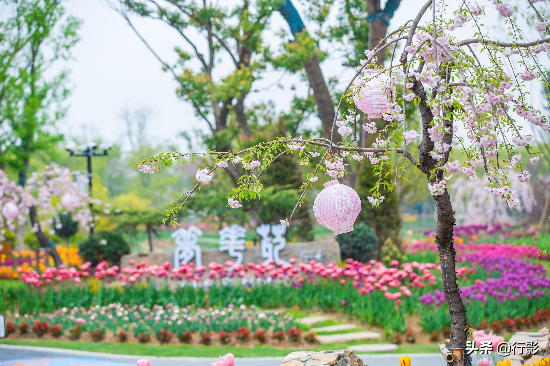 中国的布查特花园，南京溧水三叶梦华苑，圆您春天的花园梦
