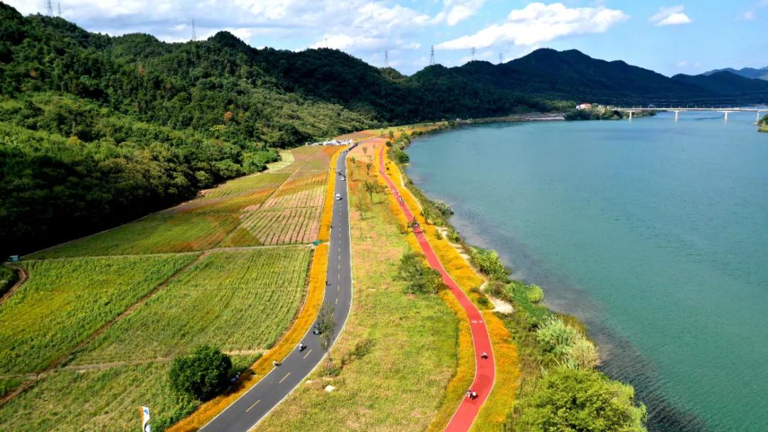 2019年杭州最美绿道,余杭街道苕溪北岸绿道