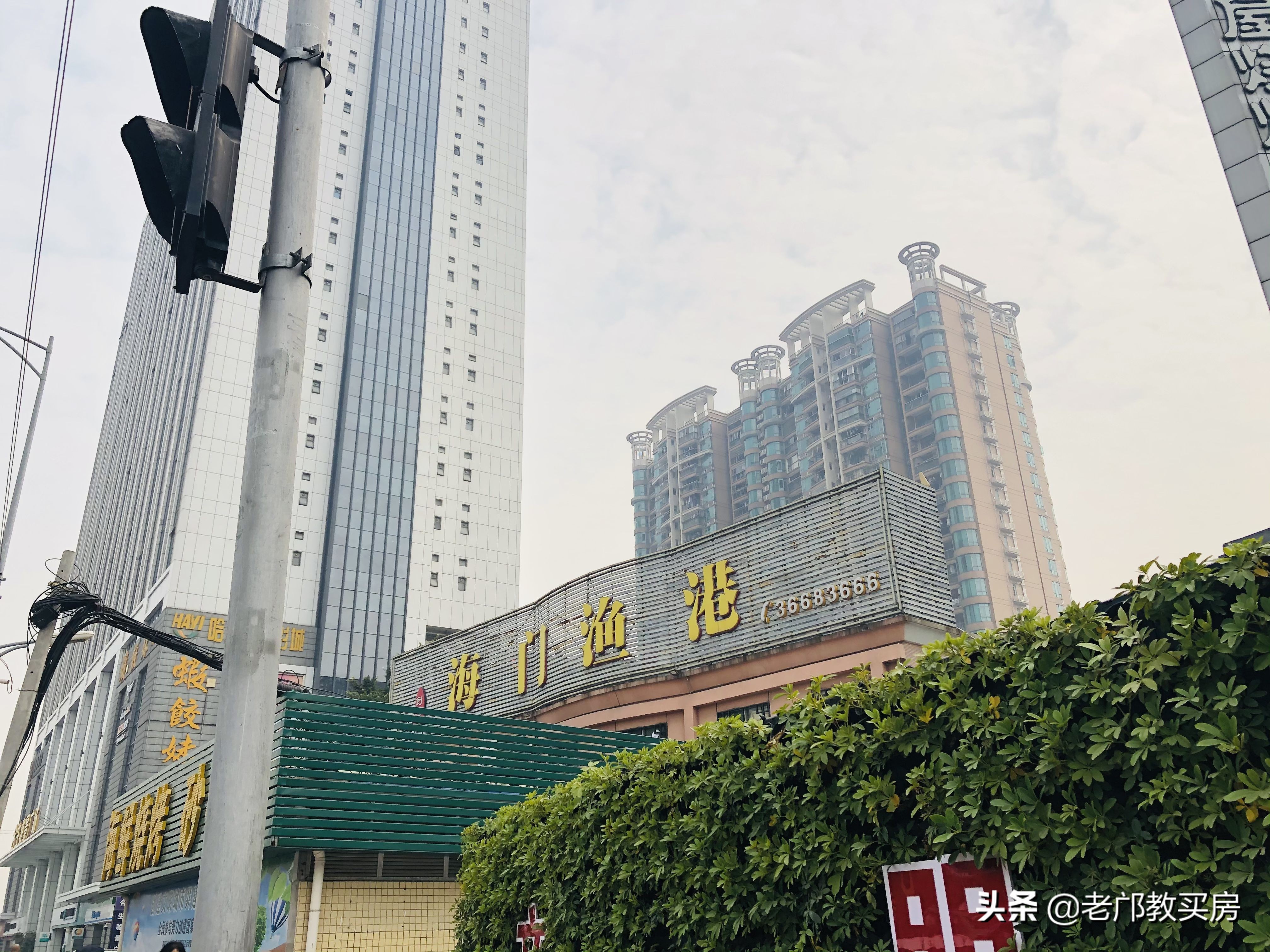 骏景属于什么系,骏景有多少户