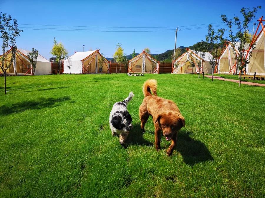 日光山谷轻奢别墅,北京日光山谷价格