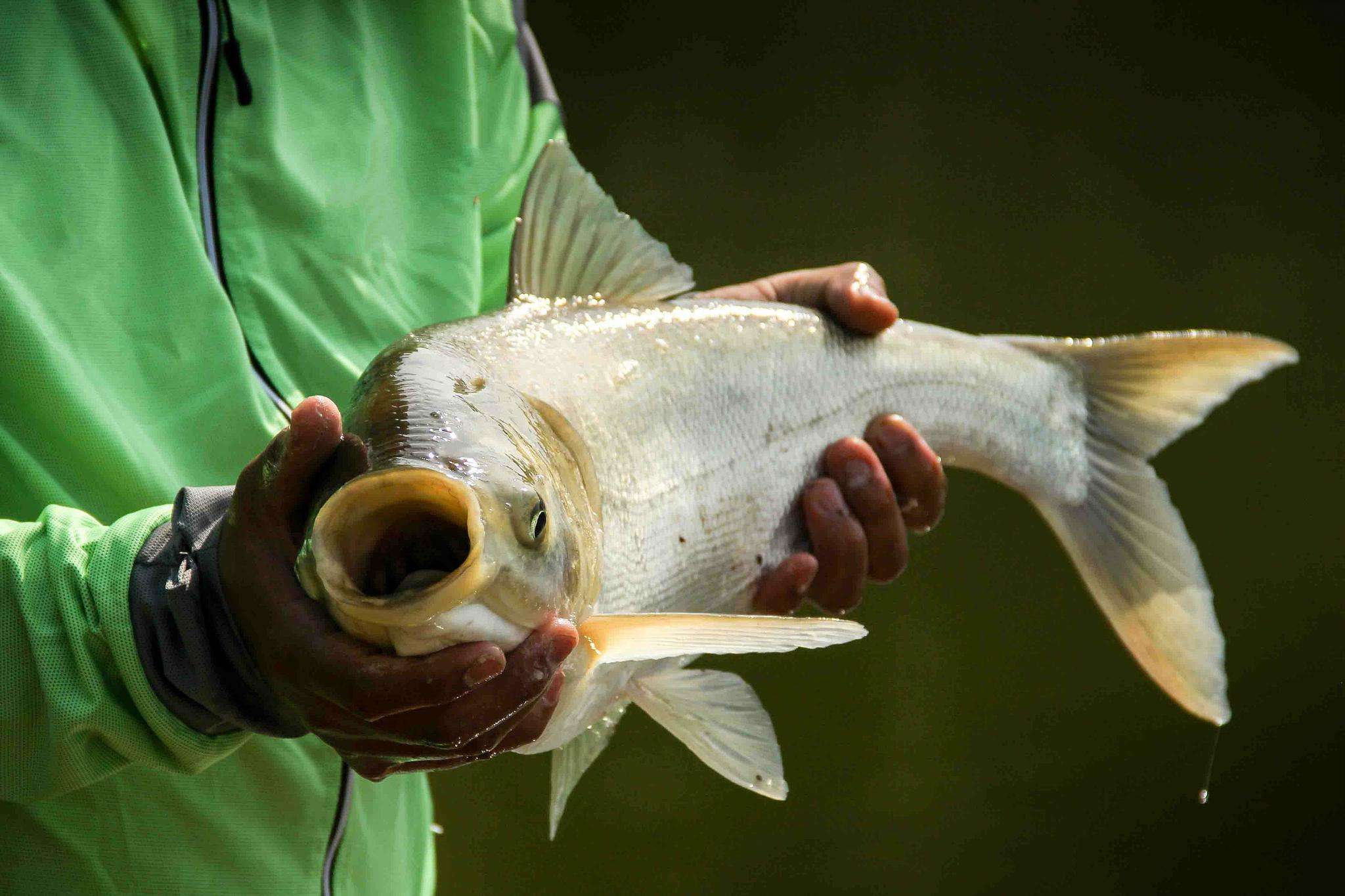 渔具营销新套路有哪些方法,渔具套路大揭秘