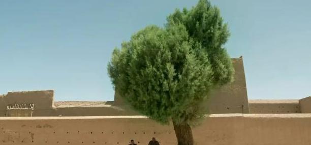 李安经历的人生低谷,李安最后的选择