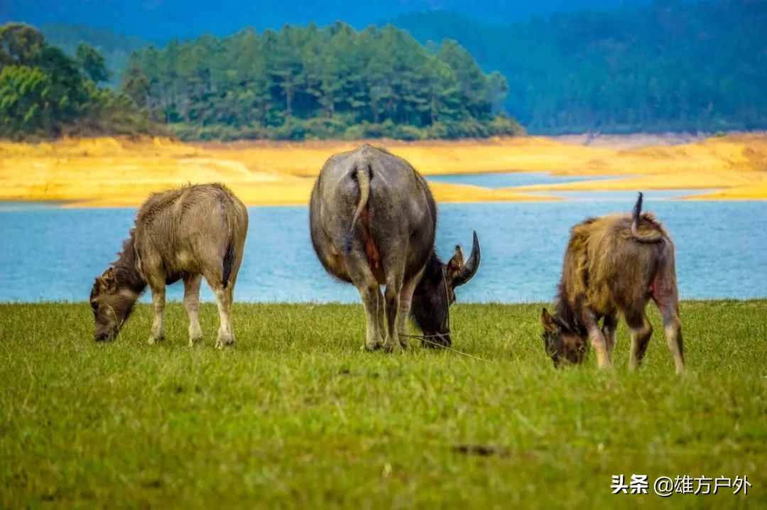 广东周末往返最适宜去的海边,广东省内的旅游攻略夏季海边
