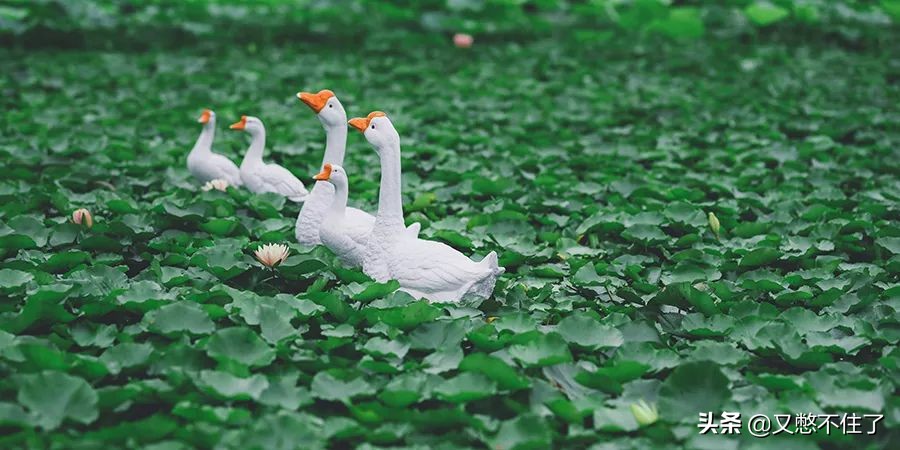 别再花冤枉钱赚钱不容易,旅游中的这些坑您得擦亮眼睛