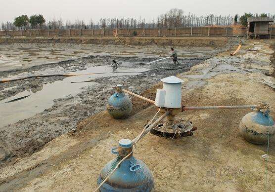 黑坑老板耍的“五个猫腻”别苦了钓鱼人