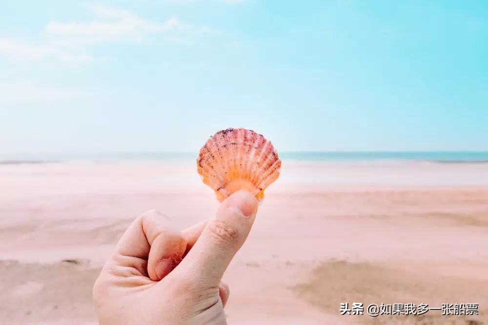 手机壳款式推荐高颜值,oppofindx3手机壳高颜值推荐