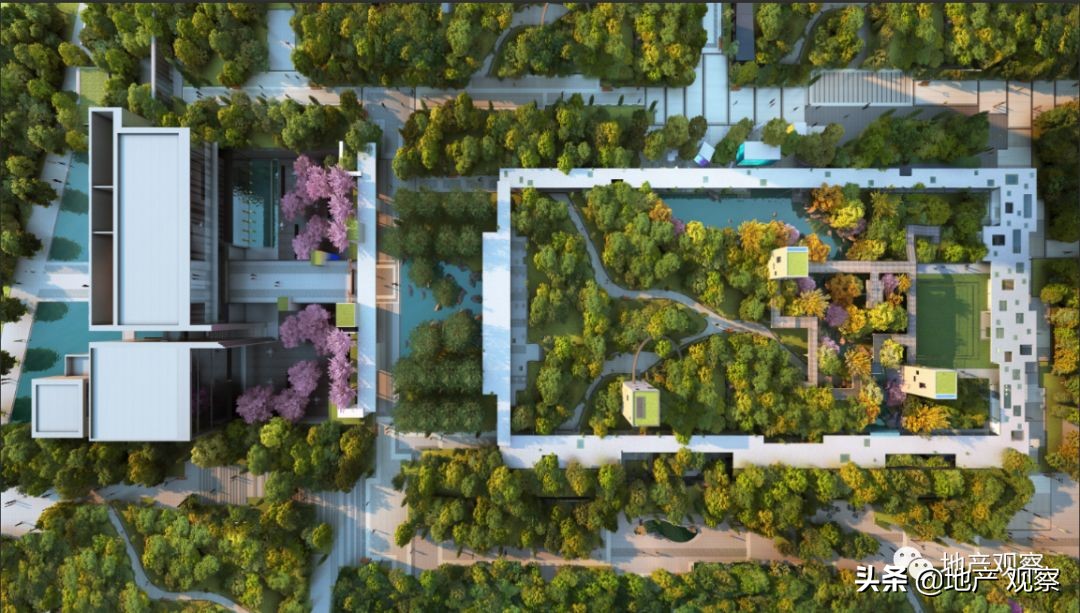 这个应该全国推广的品质项目