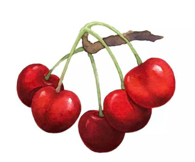 中国樱桃和车厘子的对比,不要再争了完整视频