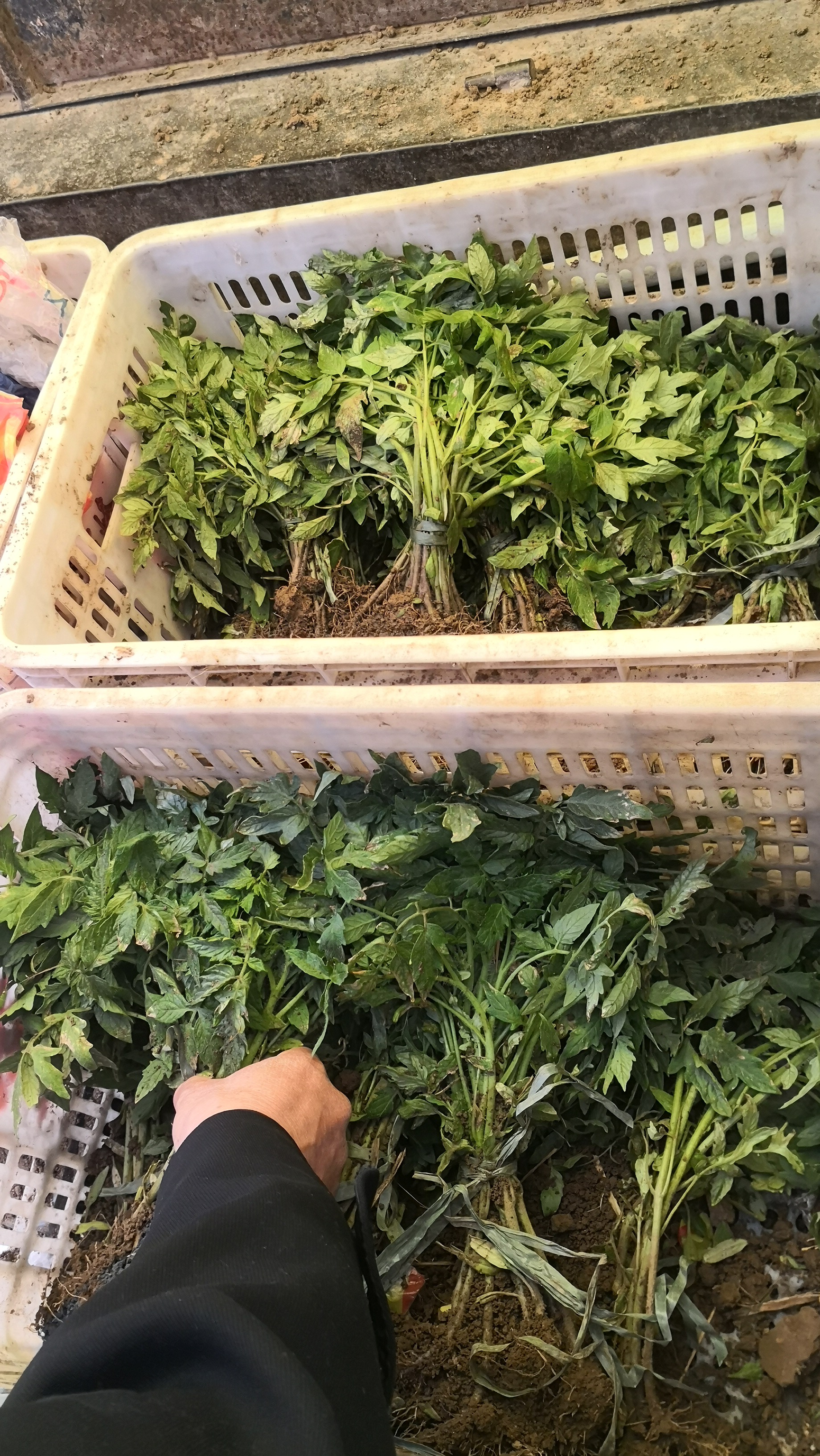 洛阳涧西区谷水会,洛阳市谷水会