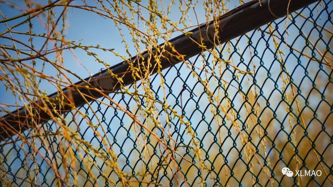 摄影爱好者的拍摄题材,一名业余摄影爱好者的简介