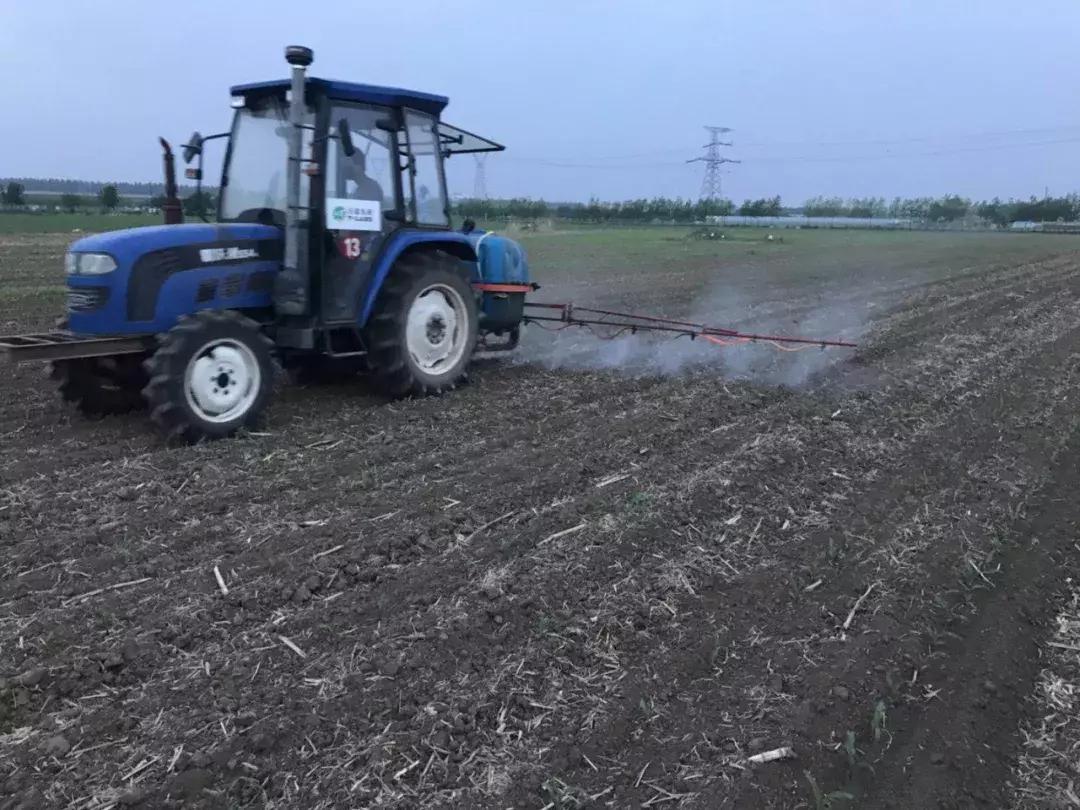 怎样解除玉米除草剂对下茬的药害,玉米苗后除草剂药害解救方法