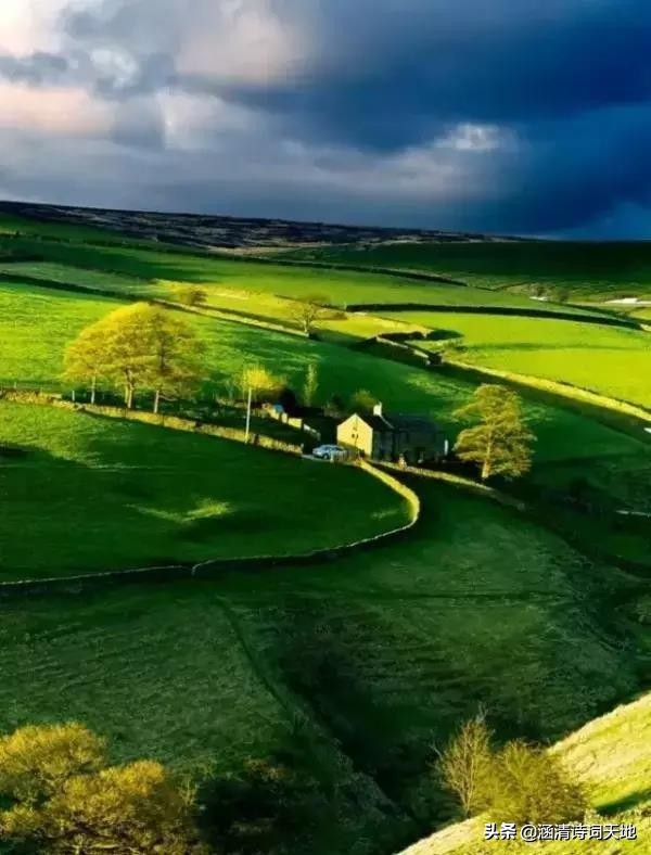 诗词大会寻味飞花令,诗词大会飞花令相思