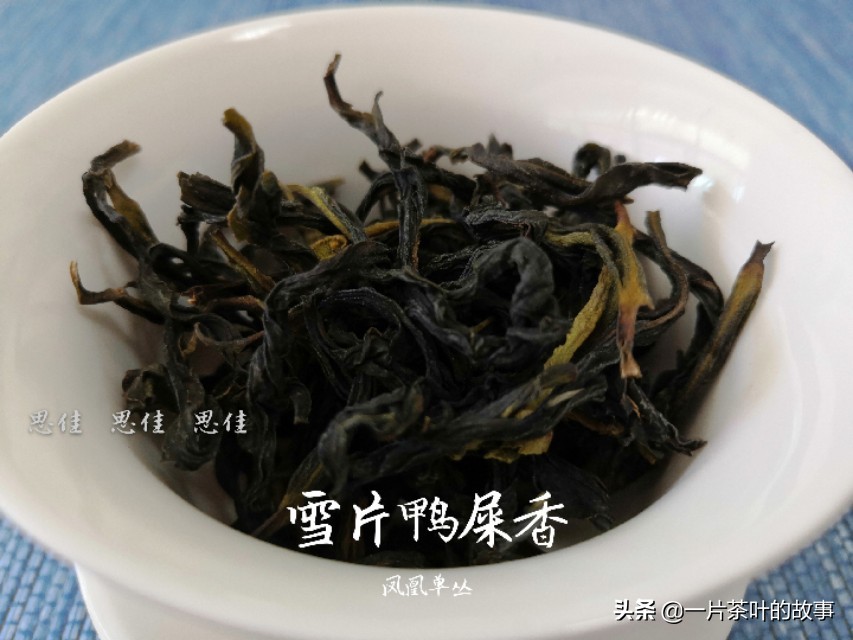 凤凰单枞鸭屎香是名茶吗,凤凰单枞鸭屎香什么样的好
