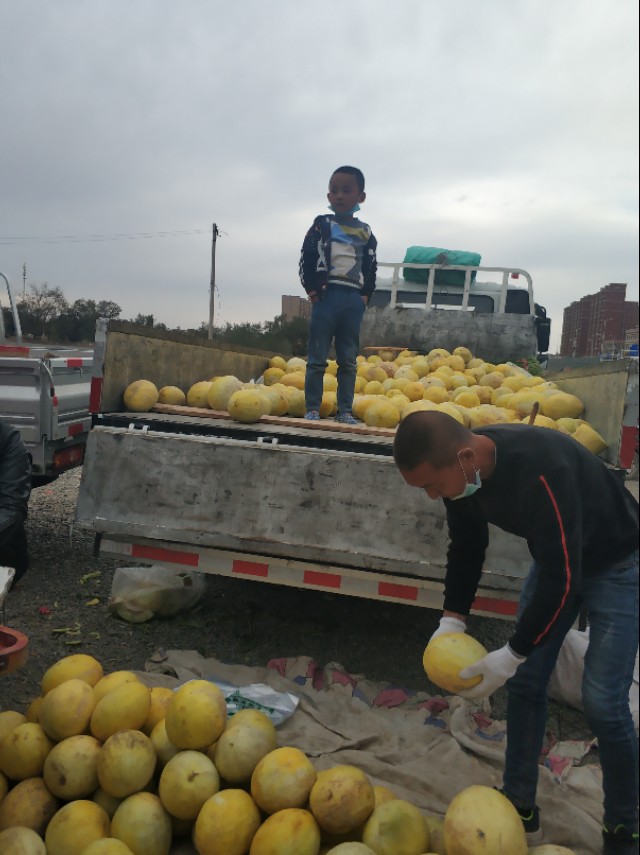 乌鲁木齐八大片区规划图,乌鲁木齐新增的几个区