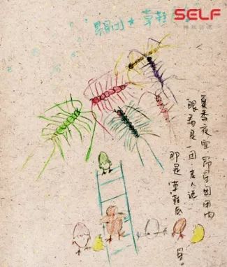 经过5年中国民间星座田野调查，发现原来祖先们也是“吃货”！