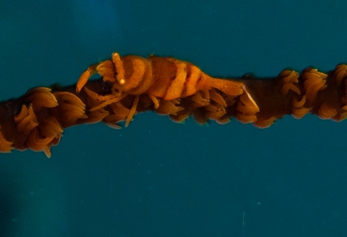 海底你不知道的东西,海底世界东海龙宫