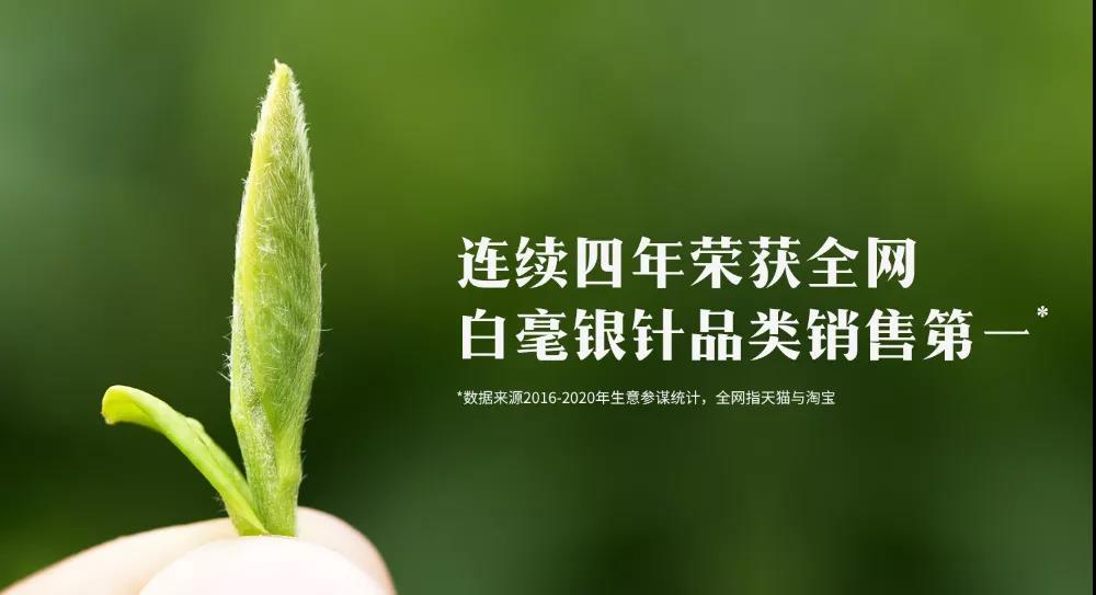 中国白茶第一饼2007年,白茶首日芽是什么意思