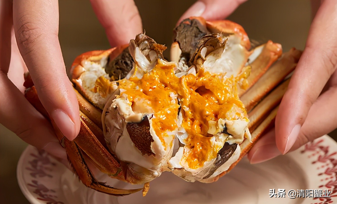 阳澄湖大闸蟹的口感,阳澄湖大闸蟹开始品尝美味了