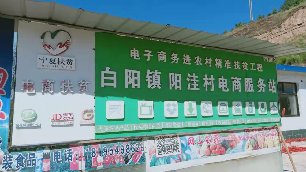 彭阳县域电商平台,彭阳本地县域电商怎么做